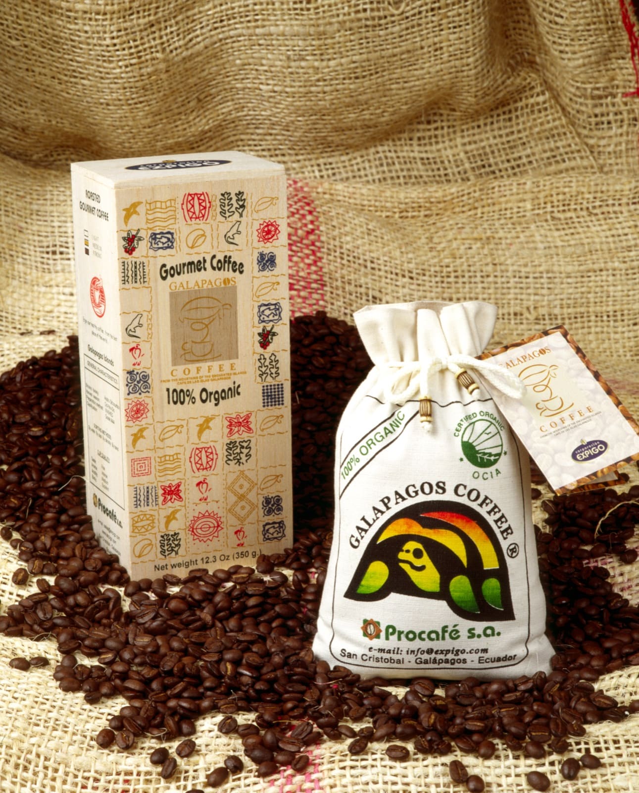 Agrogora Galapagos coffee presented for profile and quality evaluation